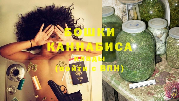 СК Гусев