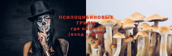 СК Гусев