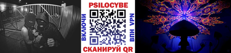 Псилоцибиновые грибы GOLDEN TEACHER  Купить закладки  Почеп 