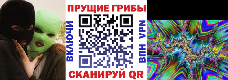 Псилоцибиновые грибы MAGIC MUSHROOMS Почеп